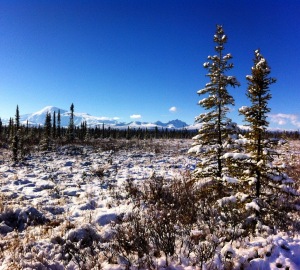 Powdered sugar creampuff land, Wrangell-St.Elias National Park. 